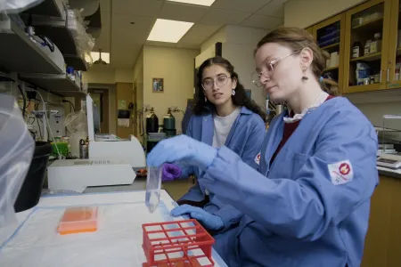 STEMLA lab photo
