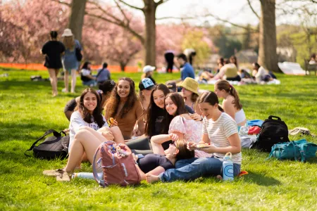 slides-and-sliders-popup