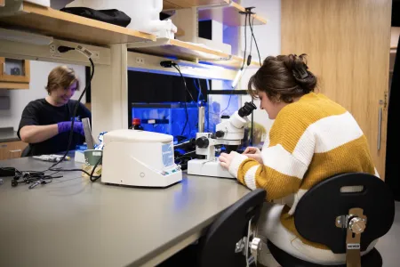 Students using microscopes in biology lab