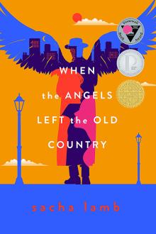 When the Angels Left the Old Country book cover