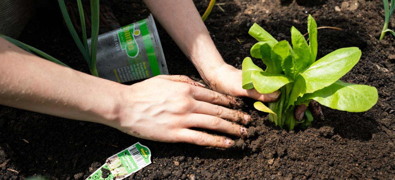 Earth Week Planting