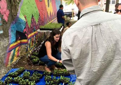 Amy Stein working with seedlings at a community garden