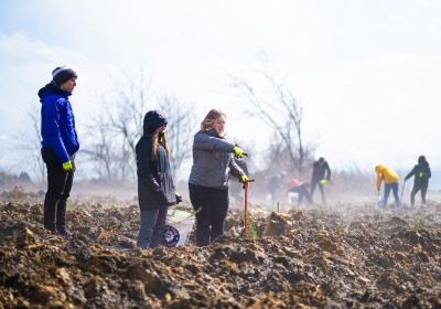 Planting trees in Altoona