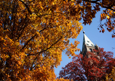 Fall leaves Taylor Hall