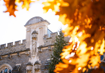 Old Library fall leaves