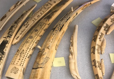Holdings from the collection of Inuit ivories donated by Margaret Liu ’54