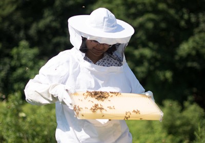 Ankitha Kannad ’19 Ankitha Kannad keeping bees
