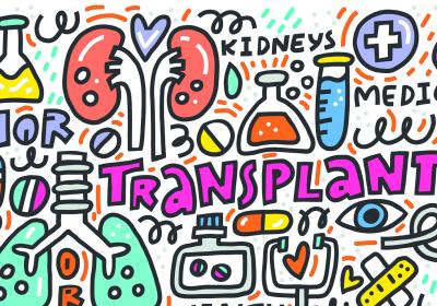 Transplant graphic