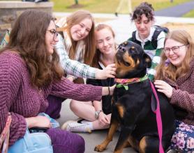 Smiling students surround therapy dog
