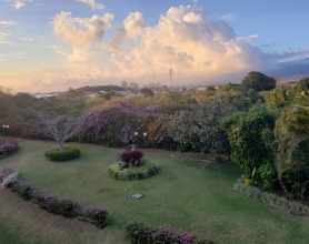 Twilight in Costa Rica, with grass and trees in the foreground and billowing clouds in the background