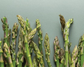 Asparagus Header