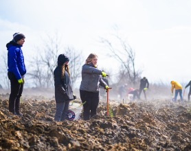 Planting trees in Altoona
