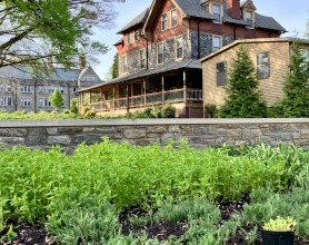 Healing garden by The Well with Helfarian in the background.