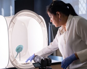 Illizt Castillo positions an Etruscan mirror for digital imaging.