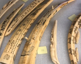 Holdings from the collection of Inuit ivories donated by Margaret Liu ’54