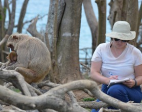 Monkeys in Puerto Rico