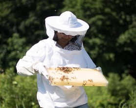 Ankitha Kannad ’19 Ankitha Kannad keeping bees