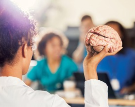 Instructor holding model of brain.