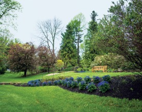 Perry Garden in Bloom