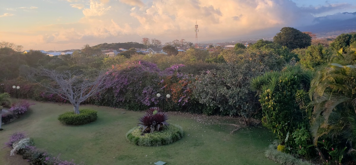 Twilight in Costa Rica, with grass and trees in the foreground and billowing clouds in the background