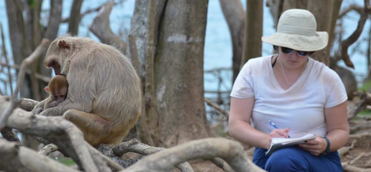 Monkeys in Puerto Rico