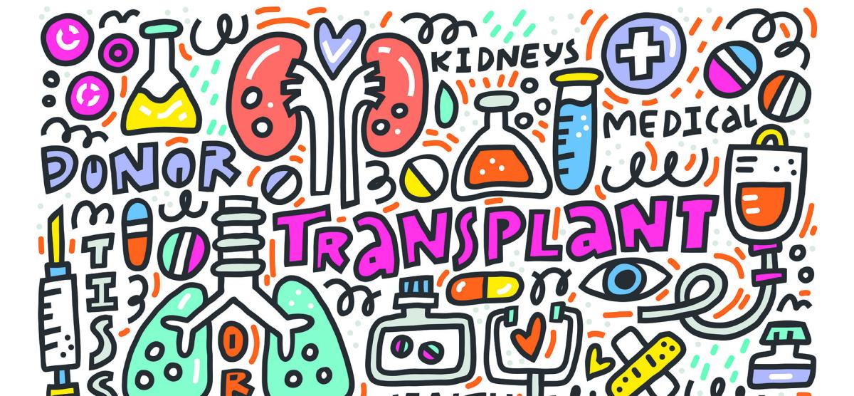 Transplant graphic