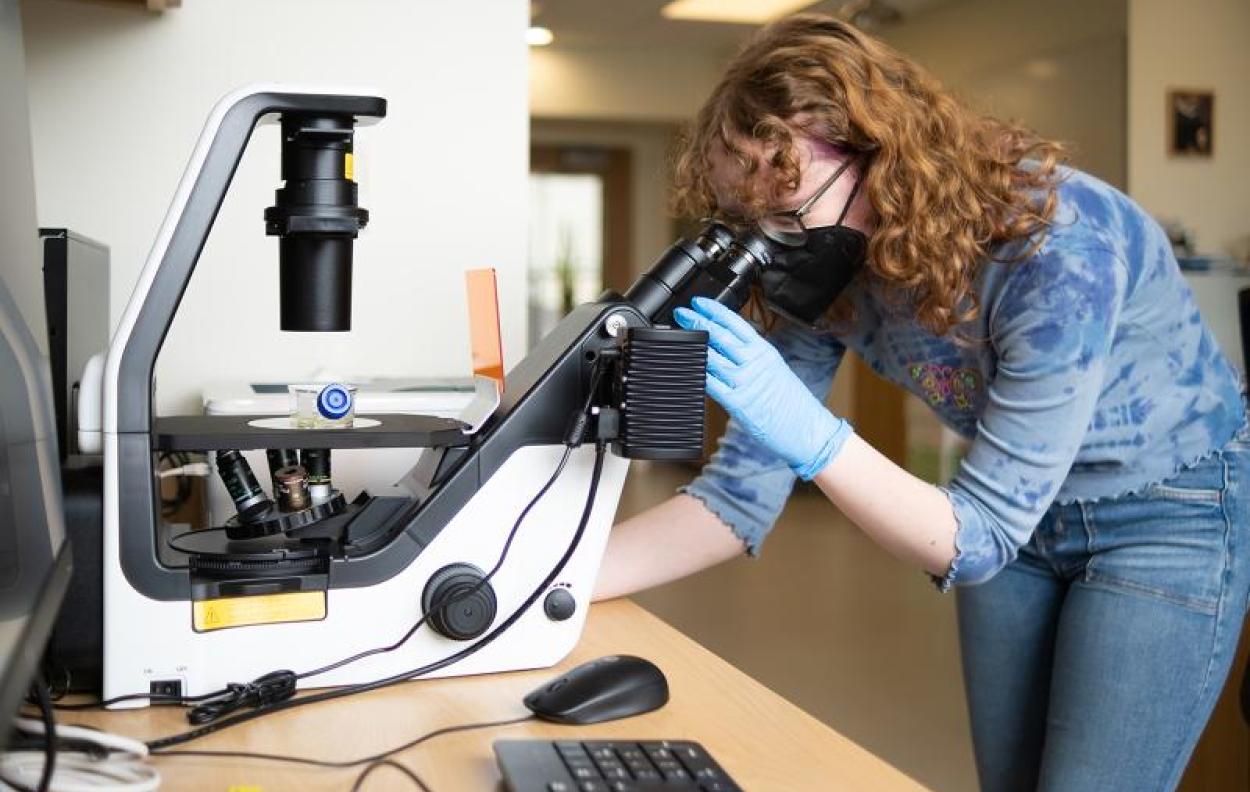 Caelin Foley lans over a microscope