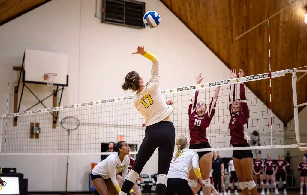 volleyball action shot