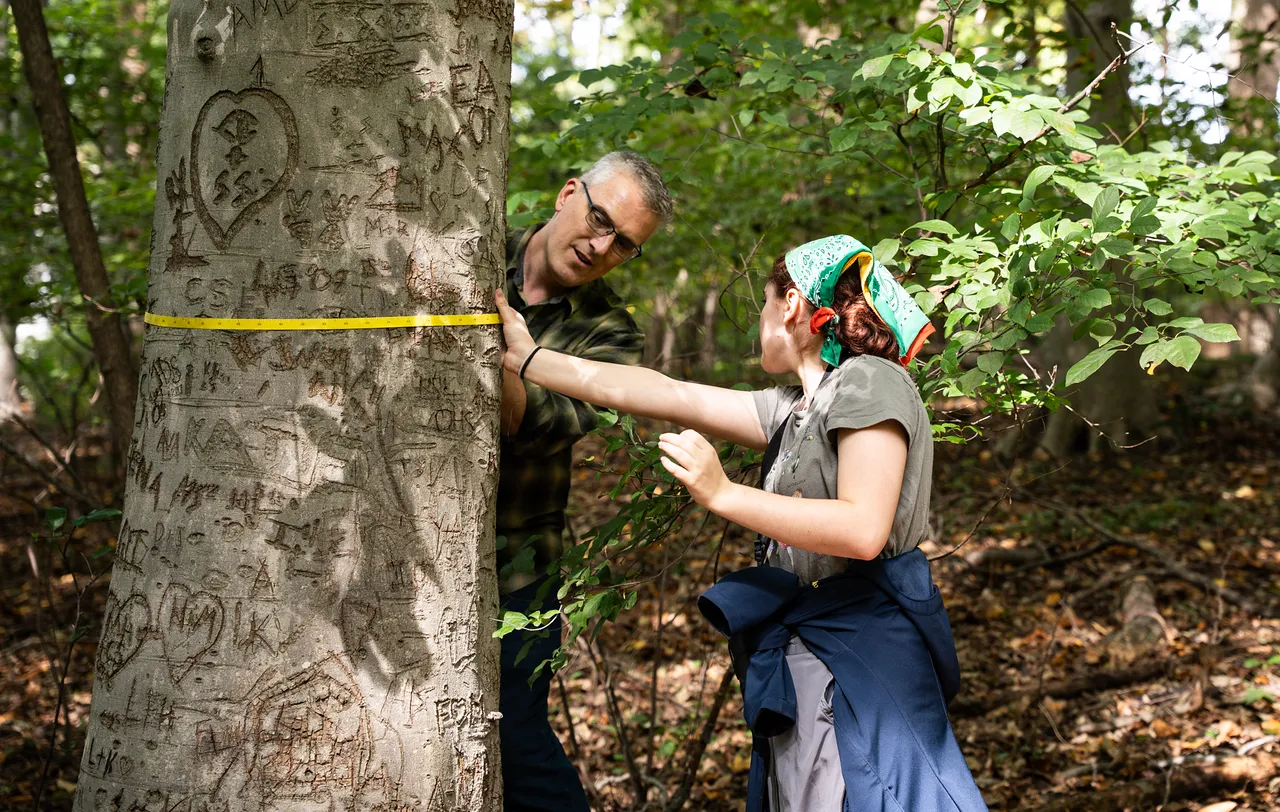 a student and professor measuring a tree