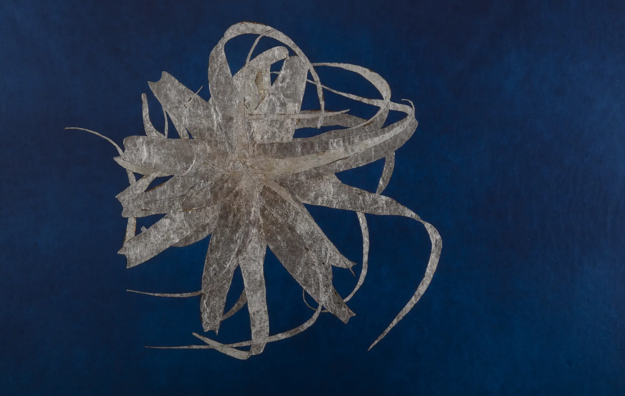 Tura Sanglas's 'El múltiple ull de la nit II'