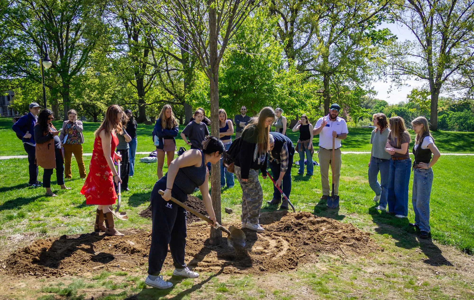 community members plant a tree