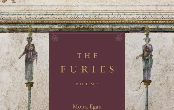 The Furies book cover