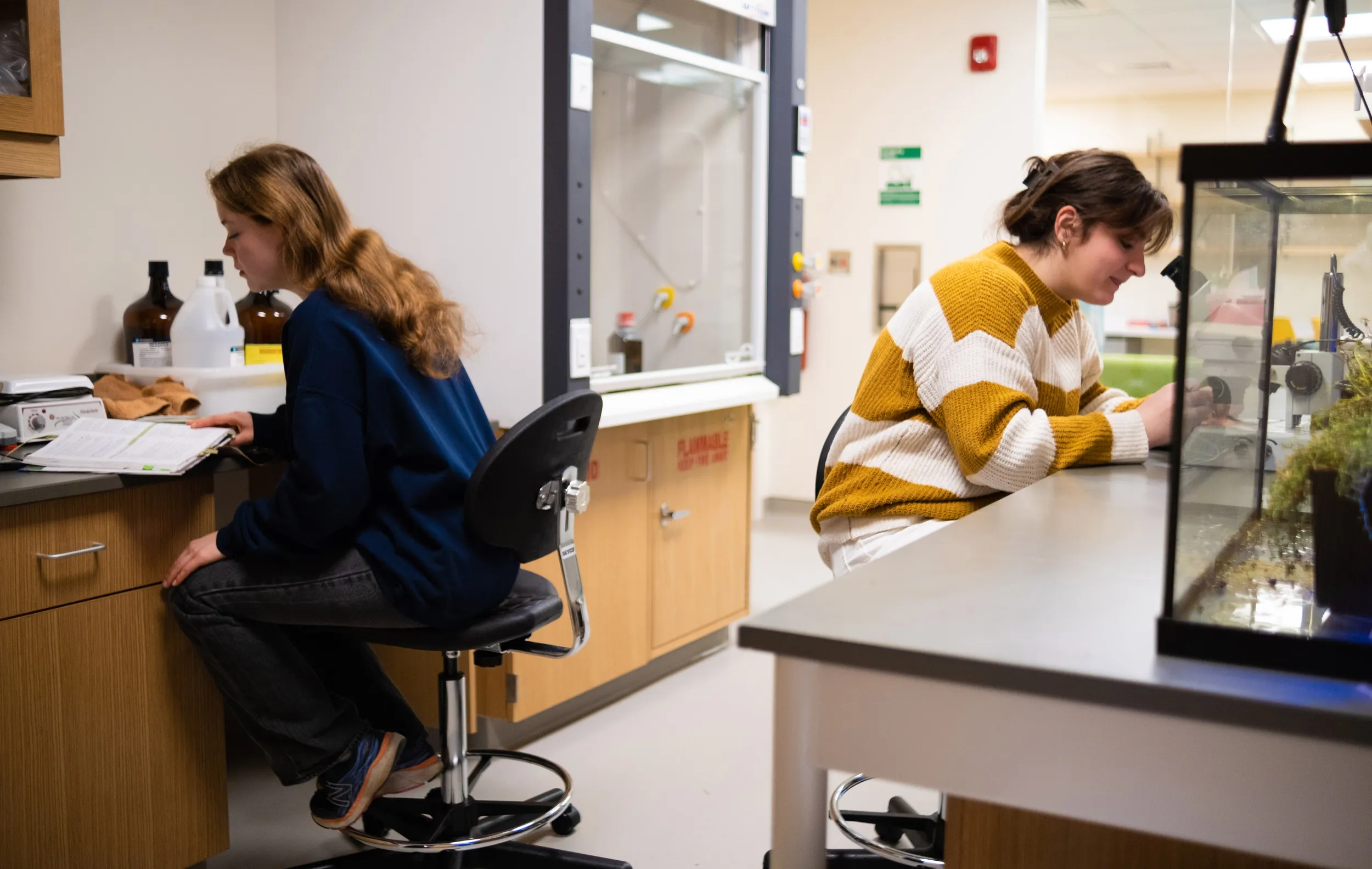 Two physics students do research in the living patterns lab