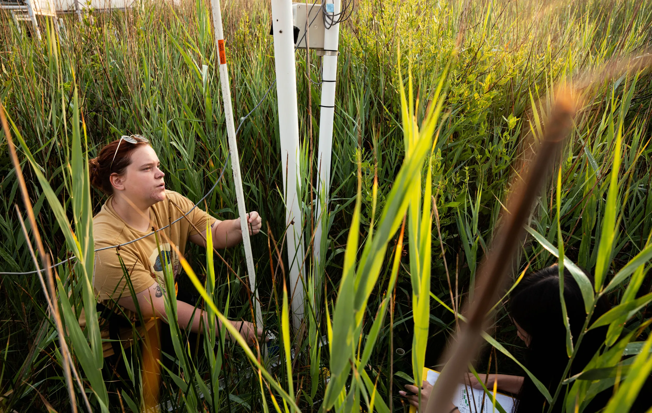 A biology student doing field work