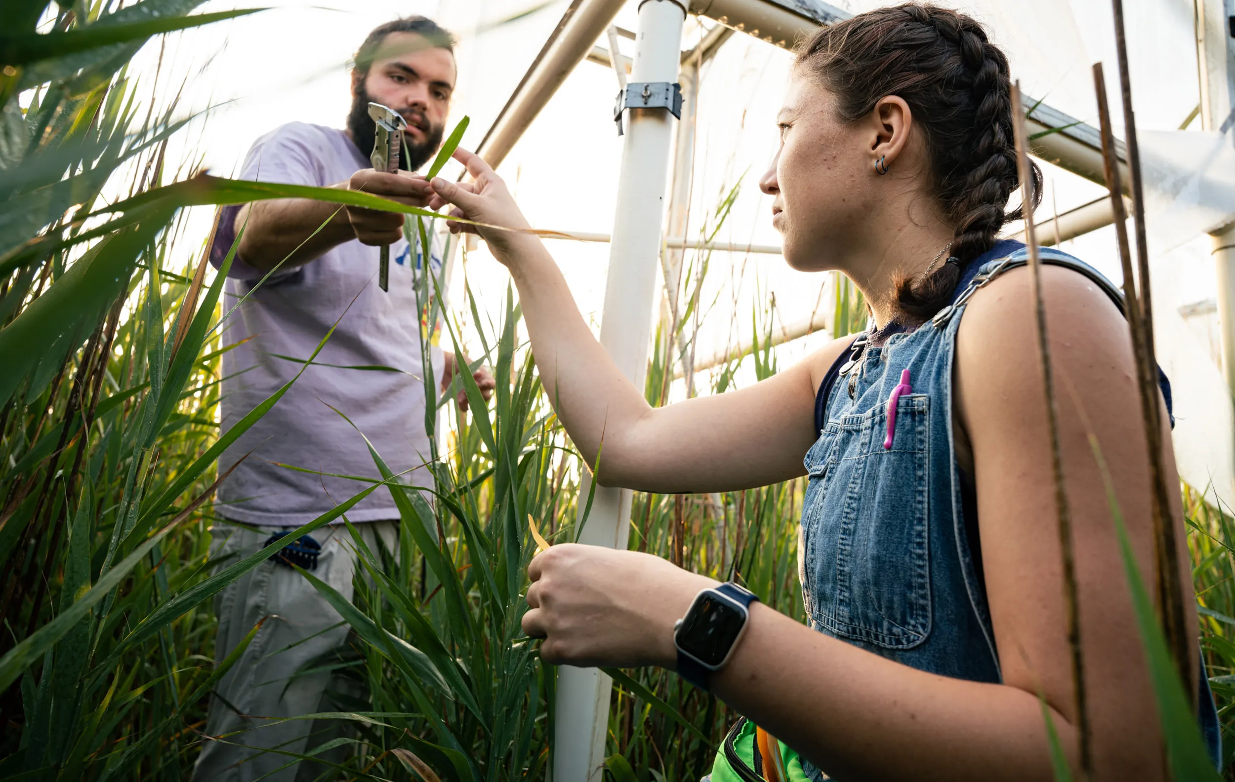 Summer Science: Biology