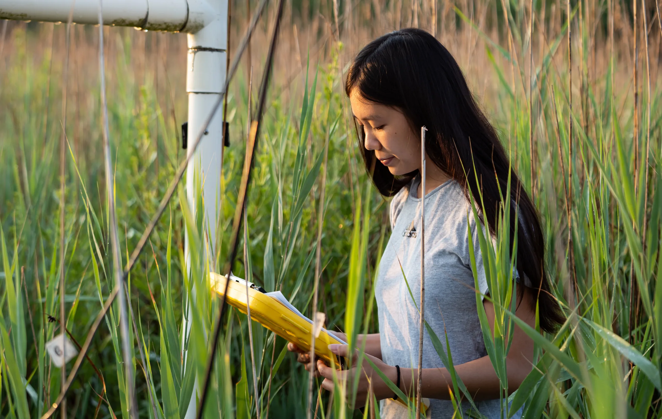Catherine Chang '28 Biology Field Research