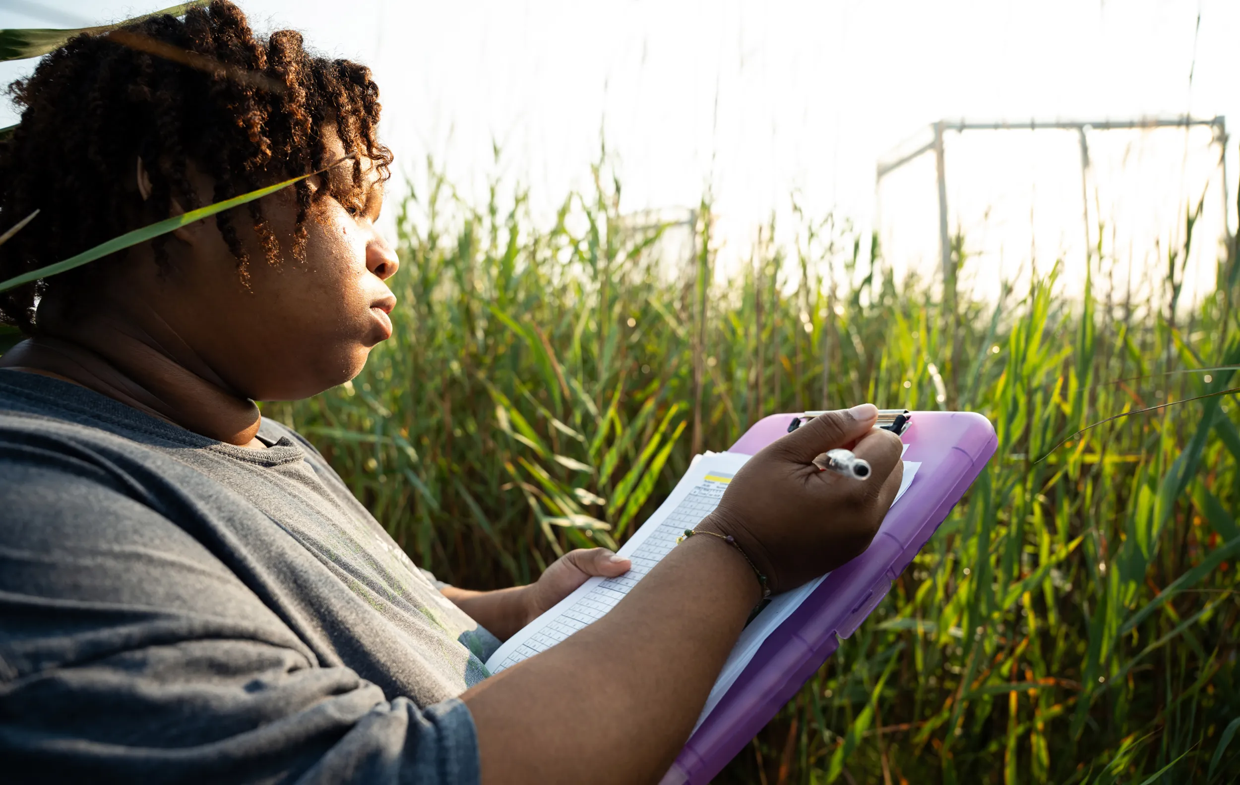 Summer biology bi-co student in the field