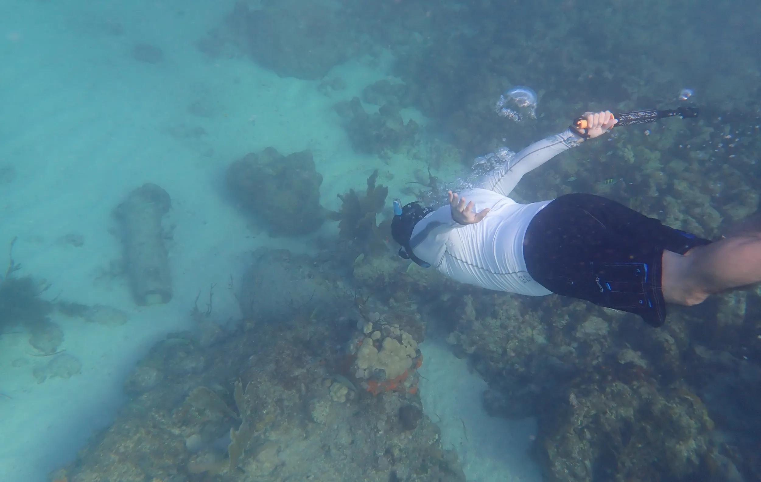 Pedro Marenco snorkeling as part of research opportunities