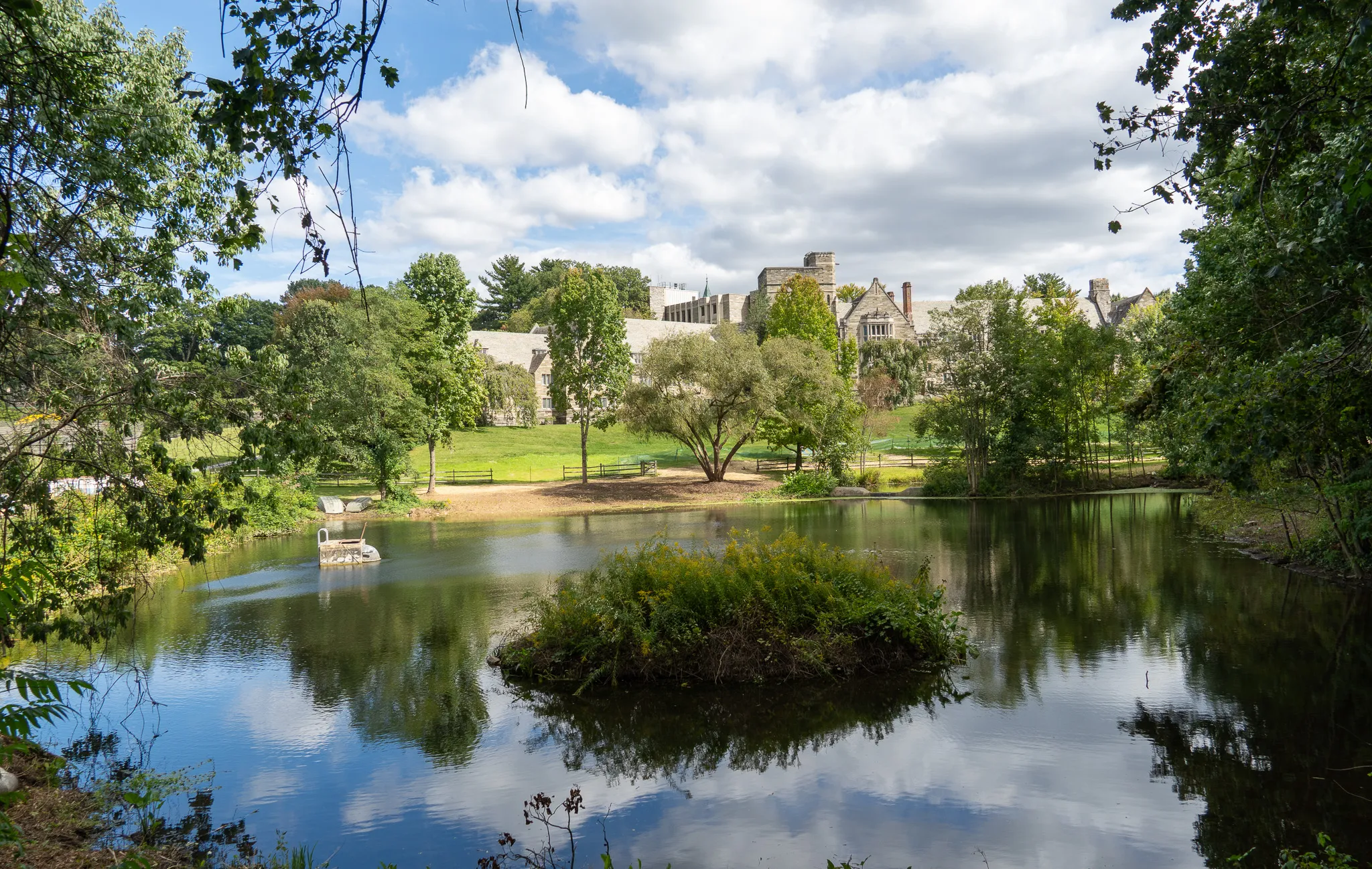 pond on campus