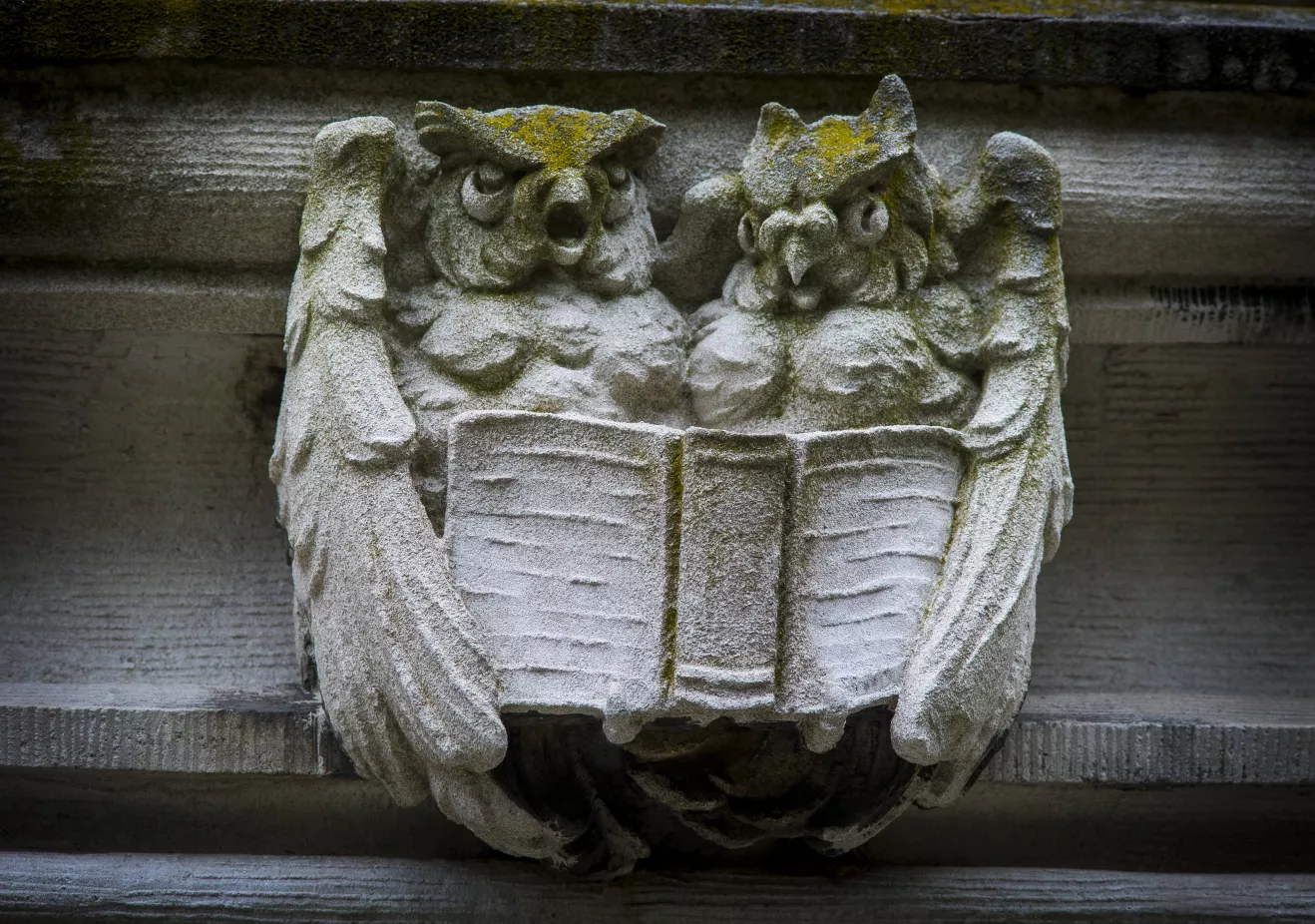owl ornamentation