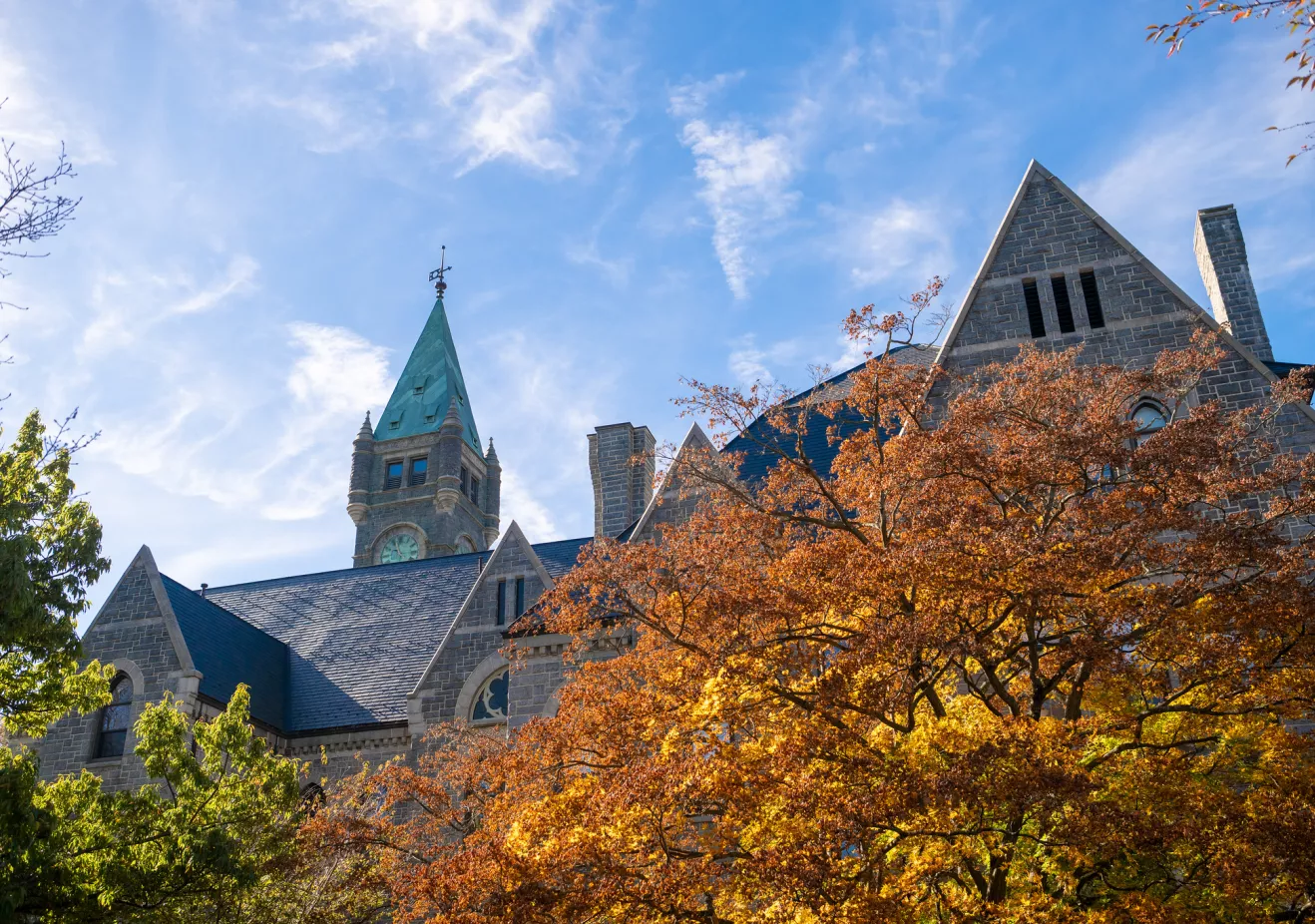 Taylor Hall and fall trees