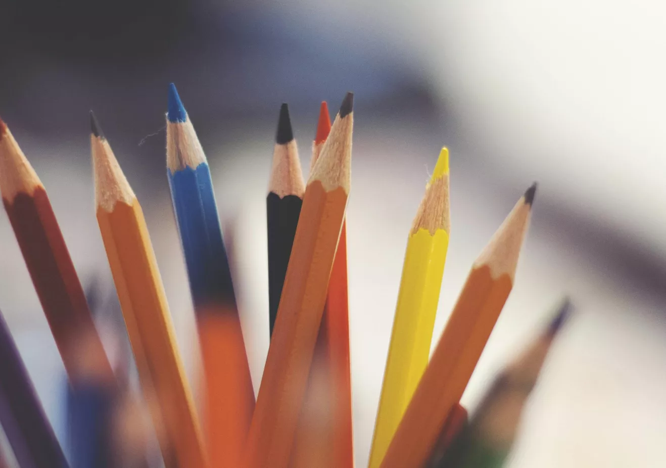pencils in a cup