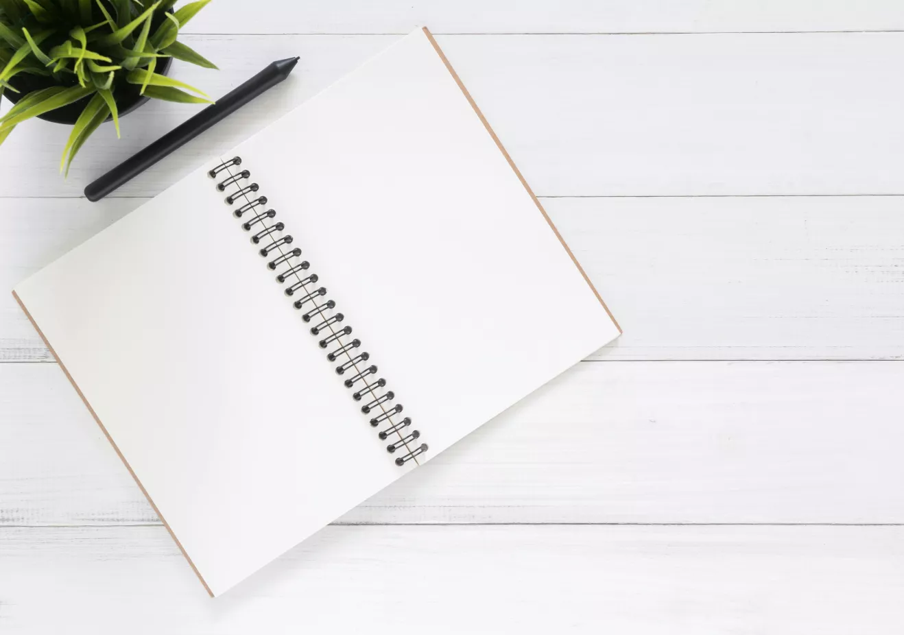open notebook with pencil and houseplant