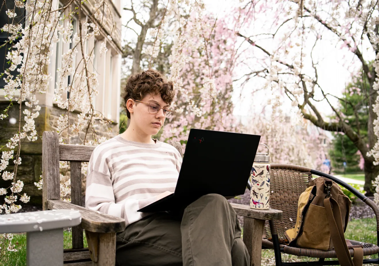Student on a laptop under the cherry blossoms