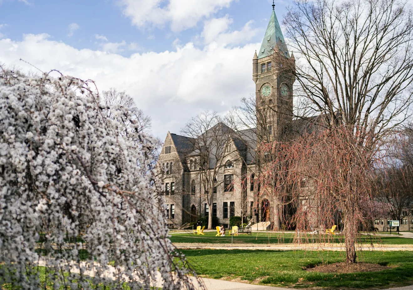 Taylor Hall and cherry blossoms