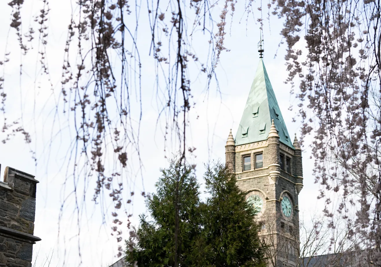 Taylor Hall and cherry blossoms