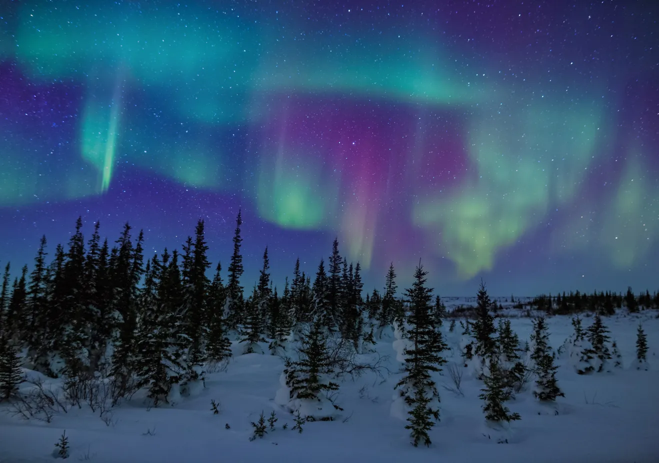 Finland trip photo of Northern Lights