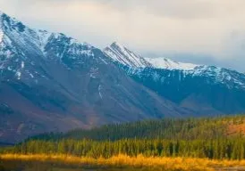 Denali