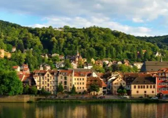 Rhine