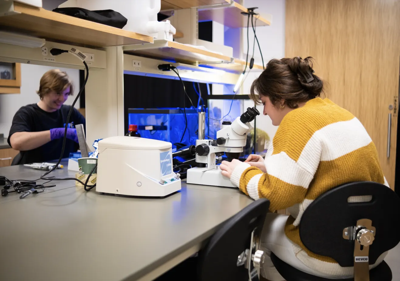 Students using microscopes in biology lab